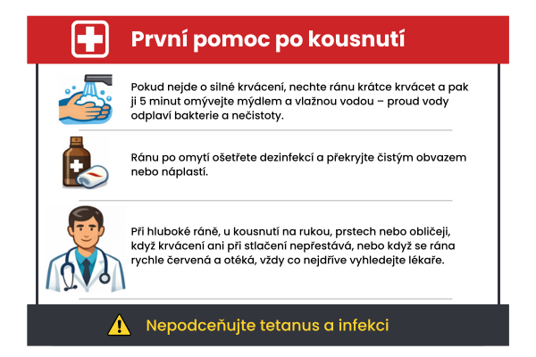 Co dělat když pes kousne? První pomoc po kousnutí psem